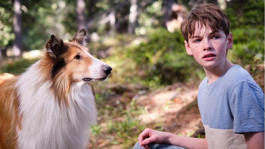 Zappbios: Lassie - een nieuw avontuur Zappbios: Lassie - een nieuw avontuur