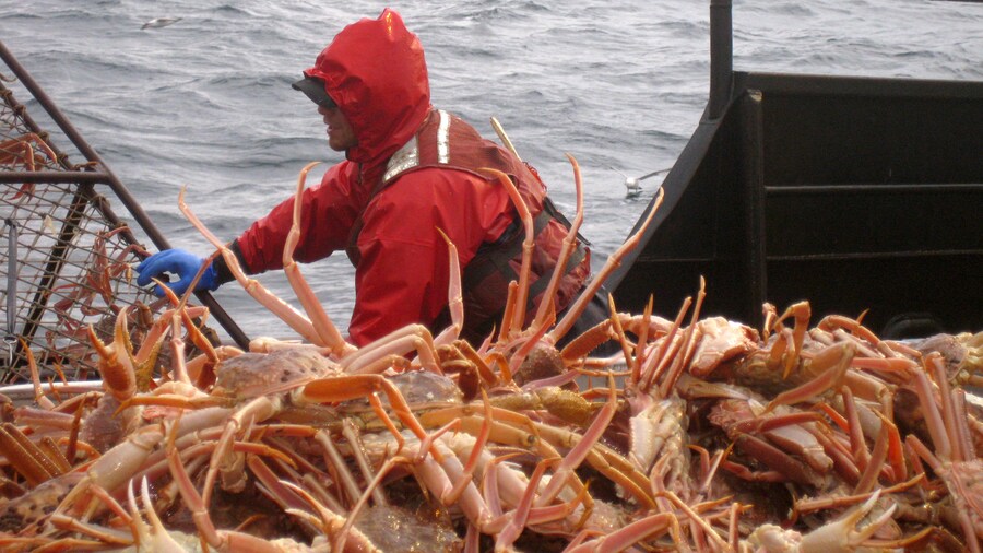 Deadliest Catch Deadliest Catch