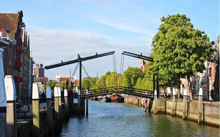 Hondse rel bij lokale omroep Dordrecht