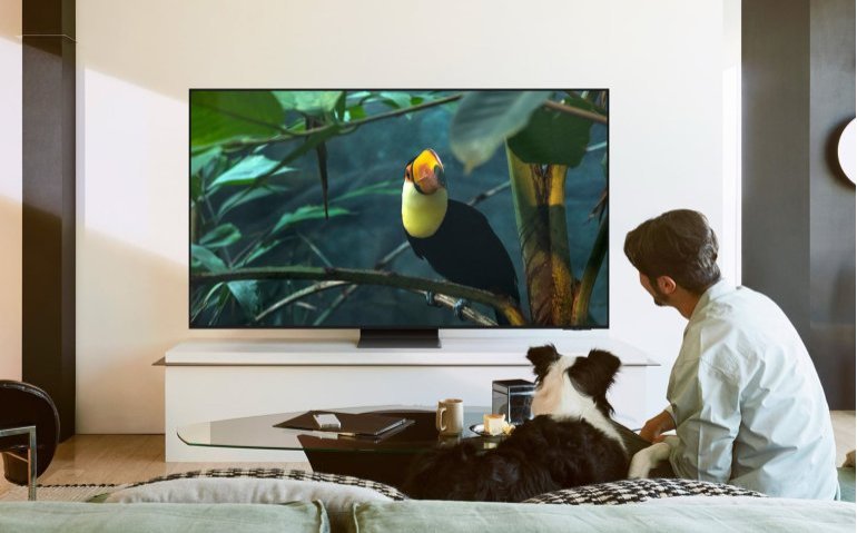 Getest in Totaal TV: Samsung S95F OLED